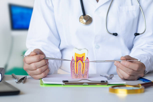 Best Emergency Root Canal Treatment in Roebling, NJ